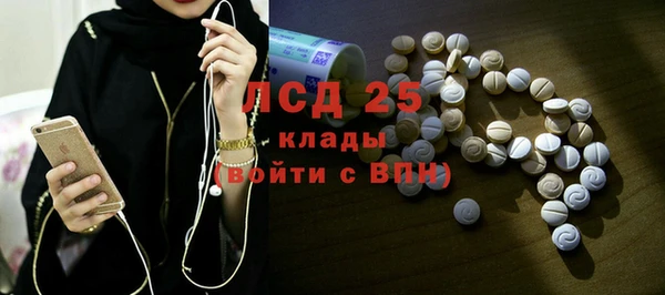 ПСИЛОЦИБИНОВЫЕ ГРИБЫ Алзамай