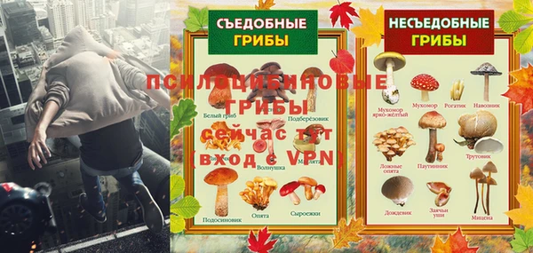 ПСИЛОЦИБИНОВЫЕ ГРИБЫ Алзамай