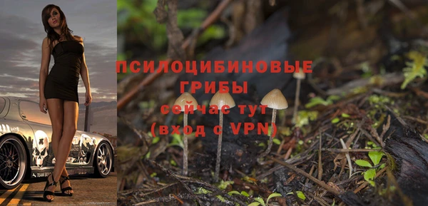 амф Абаза